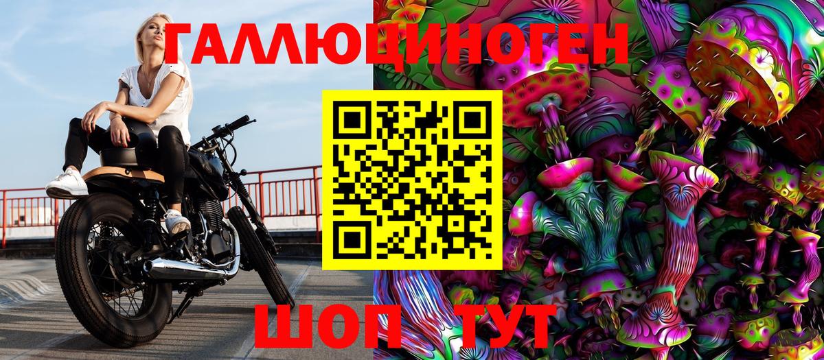 Галлюциногенные грибы Psilocybe Кропоткин