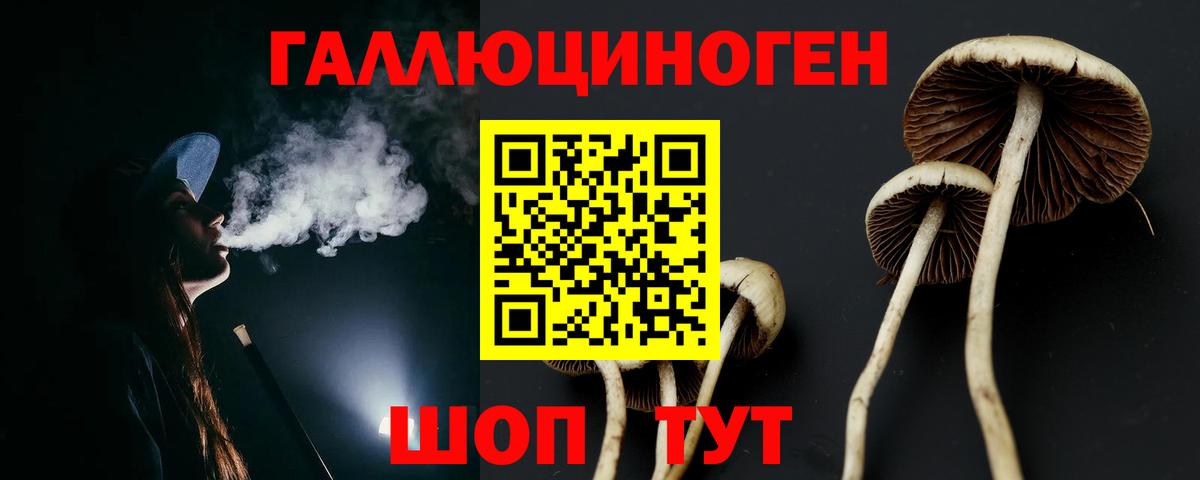 Кропоткин  Галлюциногенные грибы GOLDEN TEACHER  Вход с VPN 
